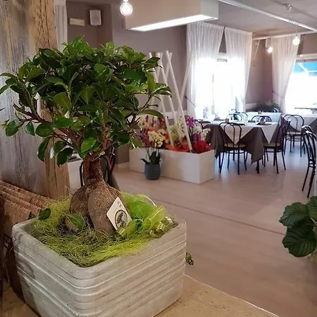 Hotel Serena Rieti
